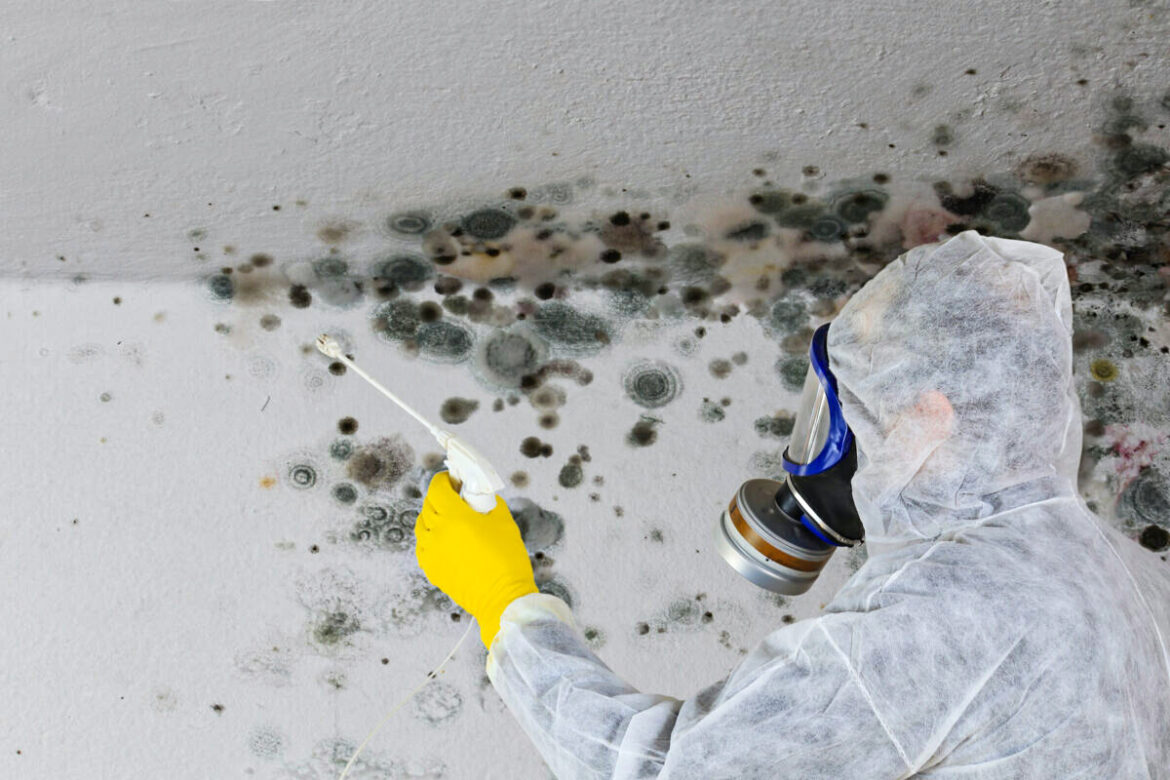 Toxic Mold Illness 101